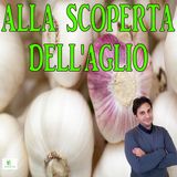 Episodio 93 - SCOPRIAMO L'AGLIO ED I SUOI BENEFICI - Le proprieta dell'aglio