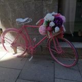 El pequeño conejo blanco