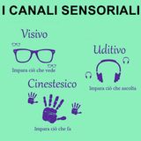 013 I canali sensoriali