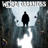 NDE | What Happens When You Die? These People Actually Know Because They've Been There and Back!