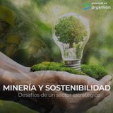 El doble desafío de la minería