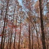 A New Era of Letting Go