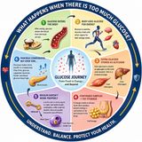 EP-315| Glucose Overload: From Sugar to Fat 🩸🩸Glucose 🩸🩸 বেশি হলে: Sugar থেকে Fat কীভাবে বাড়ে?| wellness podcast