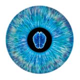 Modern Neurological Tools & Pupil Evaluation