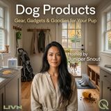 Dog Products - Home Base: Smart Feeders, Hair Removers & the Coziest Dog Bed Around
