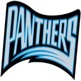 Panthers VS Bills NFL 2024 Preseason 8:7:24 2.38 PM