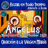 ANGELUS DEL DIA DE HOY, MIERCOLES 11 DE SEPTIEMBRE 2024, 🙏ORACION A NUESTRA MADRE 🌹LA VIRGEN MARIA 🙏