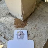 The Anaheim Pest Blueprint with Termigone Exterminators