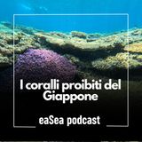 Il mare ai confini del mondo - I coralli proibiti del Giappone