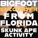 A BIGFOOT ENCOUNTER FROM THE STATE OF FLORIDA | THE SKUNK APE ROAMS THE WILDERNESS