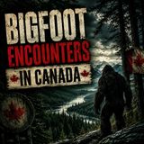 HE NEVER FORGOT WHAT WALKED IN FRONT OF HIS VEHICLE IN 1987 | SASQUATCH ENCOUNTERS FROM CANADA