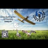 Episode 32: Crop Dusting the Screaming Seaguls