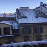 #torino Piccioni e complotti