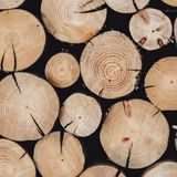 Quintili ("Il Salvagente"): «Come garantire la sostenibilità del legno»