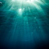 Water, Water: a story collection