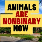 Animals Are Non Binary Now