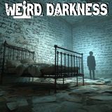 Asylum Ghosts | They Charged Admission to Watch the Mentally Ill And Called It Entertainment!