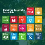 Los ODS y el desarrollo de la humanidad.