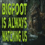 Bigfoot is Always Watching You