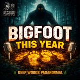 👉 Bigfoot Didn’t Disappear This Year — The Sightings Tell a Different Story