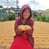 Impact Story: She Changed One Thing, Her Whole Farm Changed