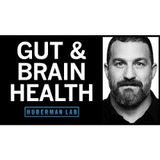 How to Enhance Your Gut Microbiome for Brain & Overall Health