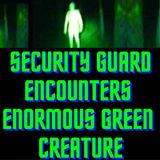 Security Guard Encounters Enormous Green Creature TRUE STORY 👽 Real Aliens 2023