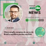 Falta de contêineres gera perda bilionária no café