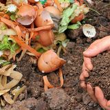 Compost USA 2 miliardi di finanziamenti all'orizzonte