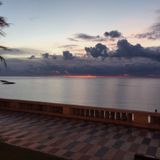 POD 4 - I meccanismi dell'evoluzione