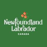 Canada’s Newfoundland and Labrador launches virtual recruitment for foreign workers