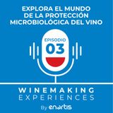 Explora el mundo de la protección microbiológica del vino
