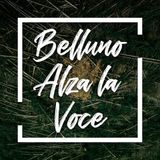 “Belluno Alza la Voce”, il progetto raccontato da Alessandro Casol a RadioBelluno.
