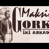 İki Arkadaş Maksim GORKİ sesli öykü Akın ALTAN