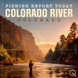 Colorado River Fishing Report: Early Fall Bites & Hatches