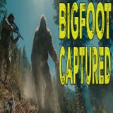 First Sasquatch Captured