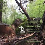 Perocichy-tajemniczy setny i legendy Puszczy