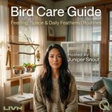 Bird Care Guide - Master the art of feathered companionship with Juniper Snout
