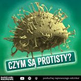 #313 Protisty mają jedną komórkę i nie narzekają | prof. Anna Karnkowska