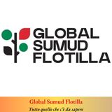 Tutto quello che c’è da sapere sulla Global Sumud Flotilla