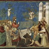 Domenica delle Palme - 2025 C - Omelia