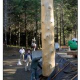 Placing the first beam