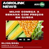 Podcast: Ferrugem linear pode chegar às lavouras brasileiras de trigo