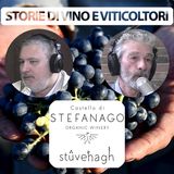 EP.13 - Il CASTELLO DI STEFANAGO e i suoi VINI racontati da GIACOMO BARUFFALDI