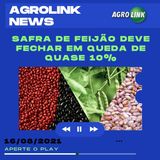 Podcast: Geadas impactam na produção brasileira de milho