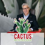 Cactus #18 - Incontri tra cactus - 28/01/2021