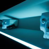 IW155 - Piergiorgio Grossi: gioie e dolori dell'intelligenza artificiale