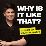 The Wisdom of Indigenous Thinking: Can It Change Your Life?