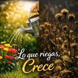 Episodio 193 - Lo que riegas, crece