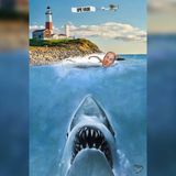 Ep 535: Shark Attack on Long Island